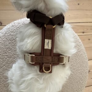 Chocolate PRO / Justerbar hundesele (mørkebrun) - XS / Mørkebrun