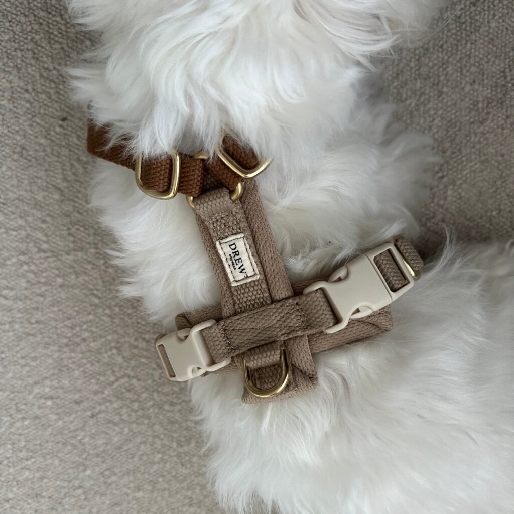 Cortado PRO / Justerbar hundesele (brun/beige) - XS / Brun/Beige