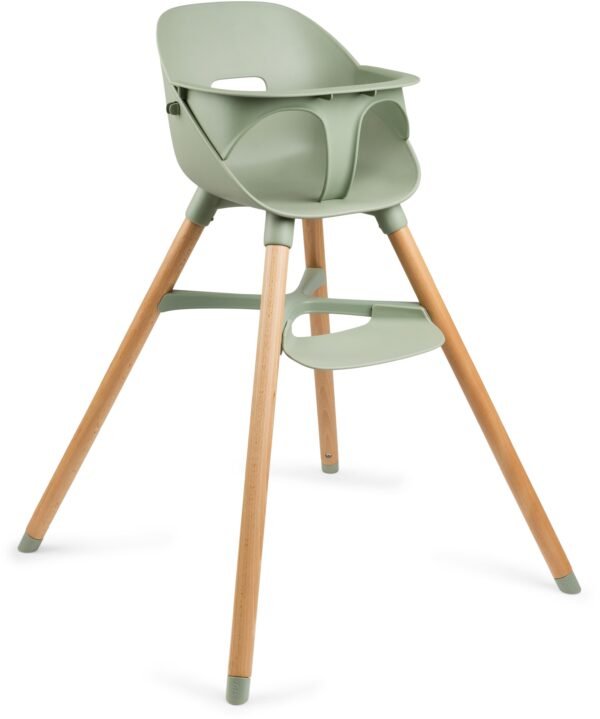 Ziza Højstol, Olive