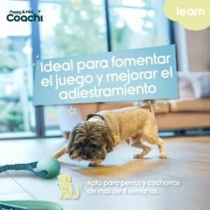 Coachi hundesele til træning og gåture