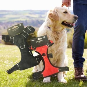 Hundesele rød eller sort i 5 størrelser - Sort XS