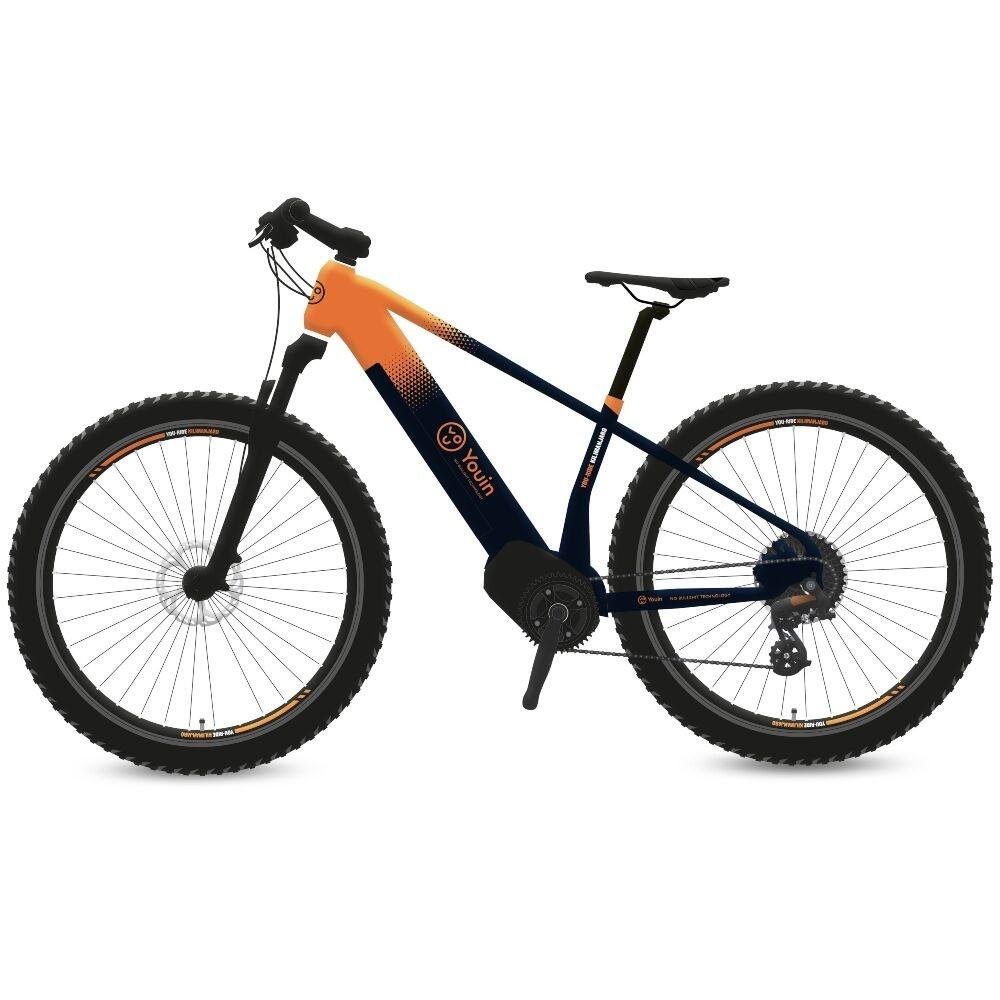Youin BK4000M Kilimanjaro elcykel 250 W, 36 V, 29"