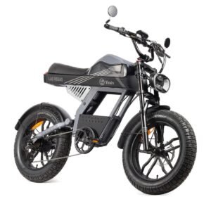 Youin BK7100 LAS VEGAS elcykel 250 W - 20" foldbar