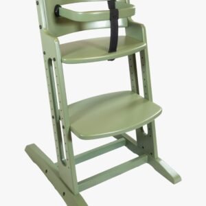 BabyDan Danstolen Højstol inkl. Beskyttelsesbøjle & Rem, Tendril Green