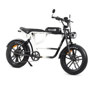 Youin BK7000 MIAMI elcykel 250 W - 20" hjul