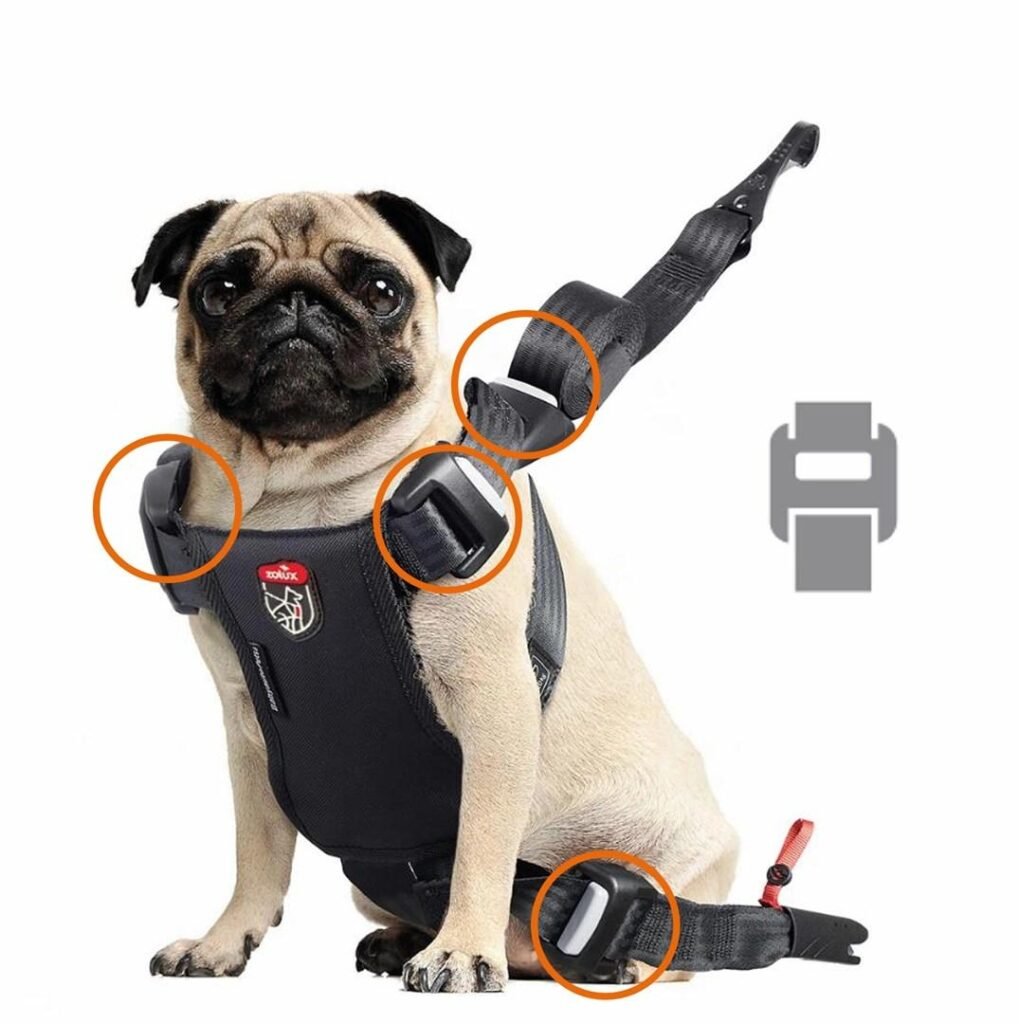 ZOLUX Travel Safe S hundesele til bil, rød